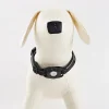 Anmiki hundhalsband med AirTag-hållare