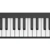 Arturia MicroLab mk3 MIDI-controller svart
