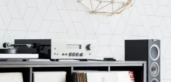 Belkin AirPlay 2 adapter, Soundform Connect