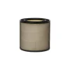 Electrolux EFFBTH2 Breathe Pollen filter för Pure 300