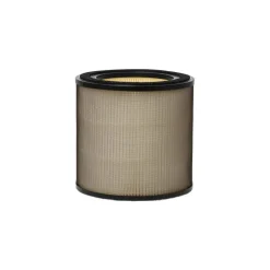Electrolux EFFBTH2 Breathe Pollen filter för Pure 300