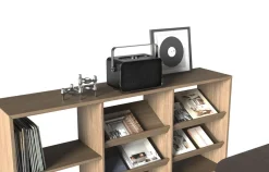 Exibel BX200 bärbar Bluetooth-högtalare med handtag