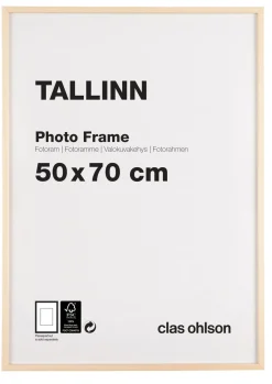 Fotoram Tallinn, furu