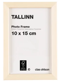 Fotoram Tallinn, furu