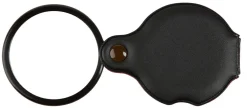 Förstoringsglas