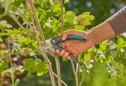 Gardena PremiumCut sekatör med sidoskär