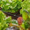 Gardena T-koppling 3/16 tum för Micro-Drip, 10-pack