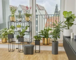 Gardena vattenbehållare AquaBloom, 10,5 liter