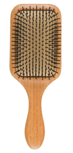 Hårborste bambu