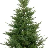 Julgran Lillehammer 210 cm, dimbar LED-belysning, timer