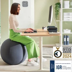 Leitz Ergo ergonomisk sittboll till kontor, 65 cm