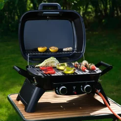 Liten, portabel gasolgrill, 2 brännare och termometer