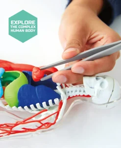 Mindblown Discovery Toy 3D-pussel skelett, från 8 år