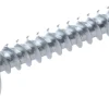 Montageskruv 4,2x65 mm