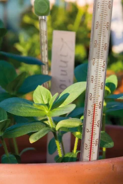 Nelson Garden jordtermometer