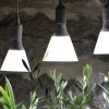 Nelson Garden växtbelysning LED-lampa E27 med skärm, 15 W