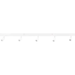 Northlight Leon taklampa med 5 spotlights, 80 cm