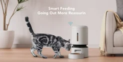 Petlibro foderautomat katt, WiFi, 5 liter