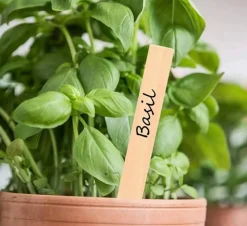 Plantetiketter trä, 30-pack