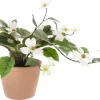 Plastblomma i kruka, sommarväxt med vita blommor