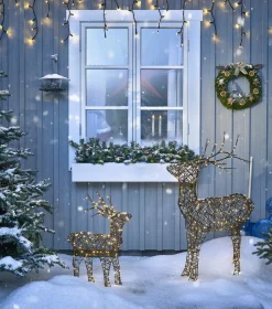 Ren med LED-belysning, 65 cm