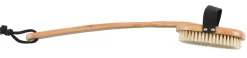 Ryggborste bambu