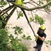 Ryobi OPP1820 grensåg med teleskophandtag