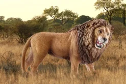 Schleich Wild Life lejon, från 3 år