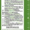 Substral näringspinnar gröna krukväxter, 30-pack