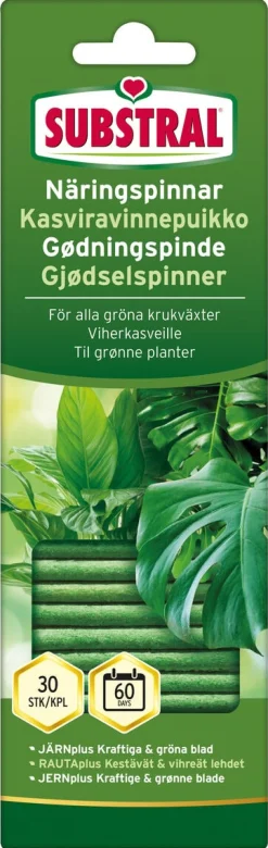 Substral näringspinnar gröna krukväxter, 30-pack