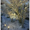 Trädgårdsbelysning Flora LED 2-pack