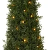 Tuja med LED-belysning