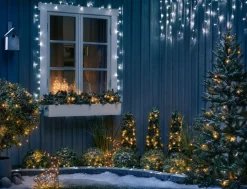 Tuja med LED-belysning
