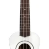 Ukulele Joy