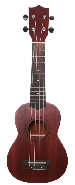 Ukulele Joy