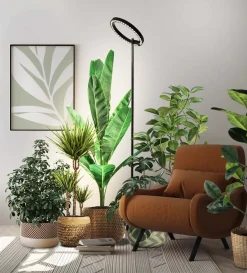 Växtbelysning golvlampa med timer, höjd 164,5 cm