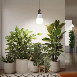 Växtlampa LED E27, odlingslampa inomhus, 9 W