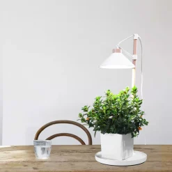 Växtlampa med lampskärm för kruka, justerbar, trä
