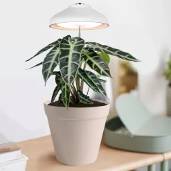 Växtlampa på spett LED för krukor, USB och teleskop, vit