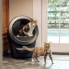 Whisker Litter-Robot 4 självrengörande kattlåda