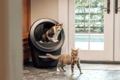Whisker Litter-Robot 4 självrengörande kattlåda